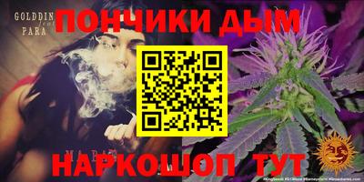МДПВ Пугачёв