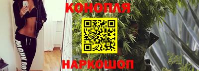 Альфа ПВП Пыть-Ях