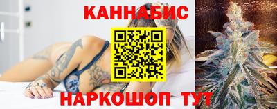 Альфа ПВП Пыть-Ях
