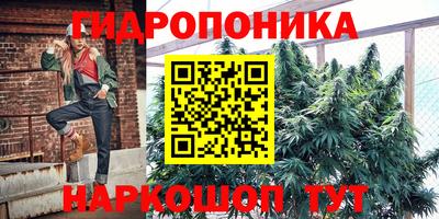 Альфа ПВП Пыть-Ях