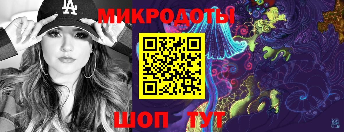 Галлюциногенные грибы Psilocybine cubensis Светлоград