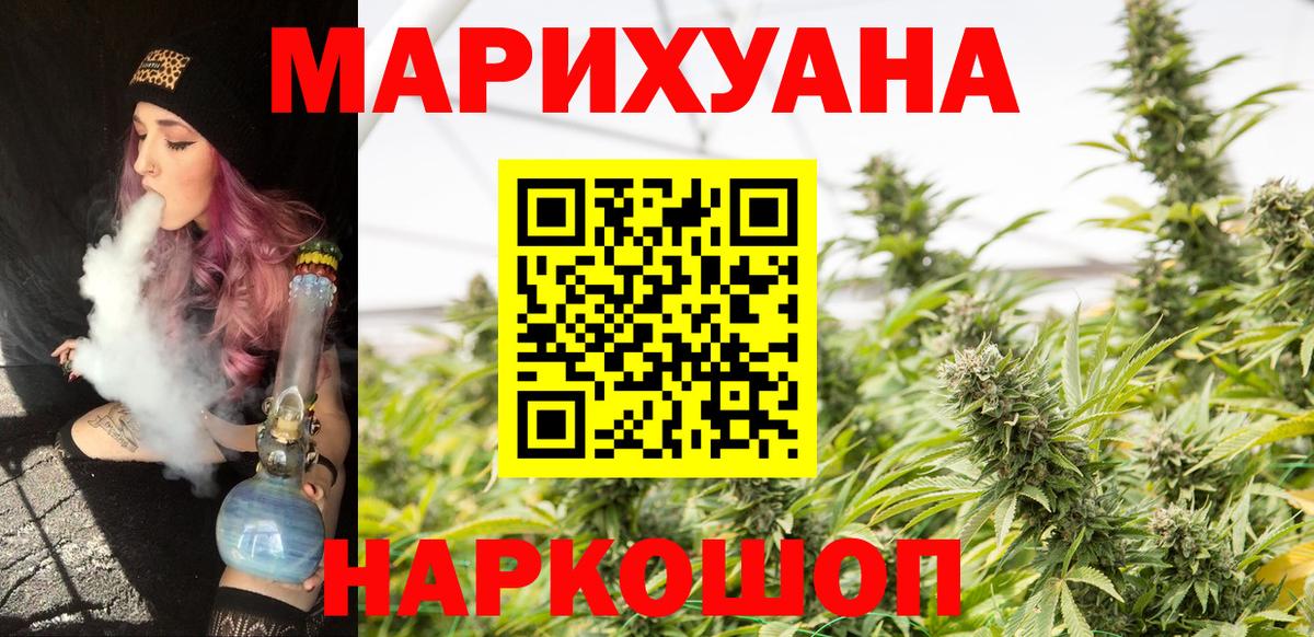 Конопля сатива Светлоград